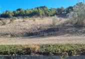 Non-developable land for sale on España, San Mateo de Gállego, ref: TR364328 photo