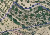 Terreny no urbanitzable en venda a la España, la Serra d'en Galceran, ref.: TR306667 foto