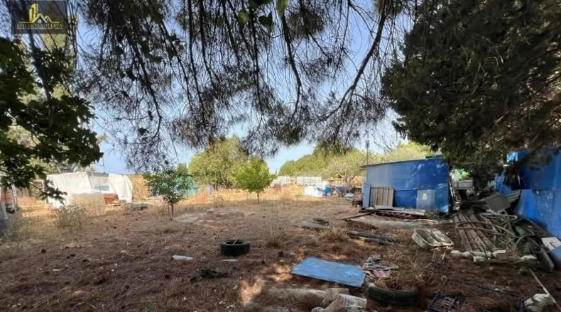 Cádiz - Jerez de la Frontera - 600m2