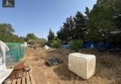 Terreny no urbanitzable en venda a la España, Jerez de la Frontera, ref.: TR315704 foto