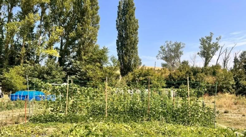 Наварра - Uroz - 500m2