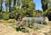 Non-developable land for sale on España, Urroz-Villa, ref: TR327974 photo
