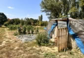 Non-developable land for sale on España, Urroz-Villa, ref: TR327974 photo