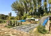 Non-developable land for sale on España, Urroz-Villa, ref: TR327974 photo