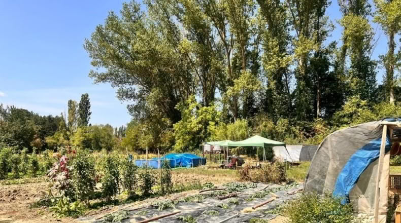 Наварра - Uroz - 500m2