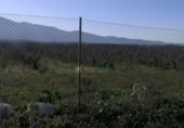 Non-developable land for sale on España, Castelló de Rugat, ref: TR346300 photo