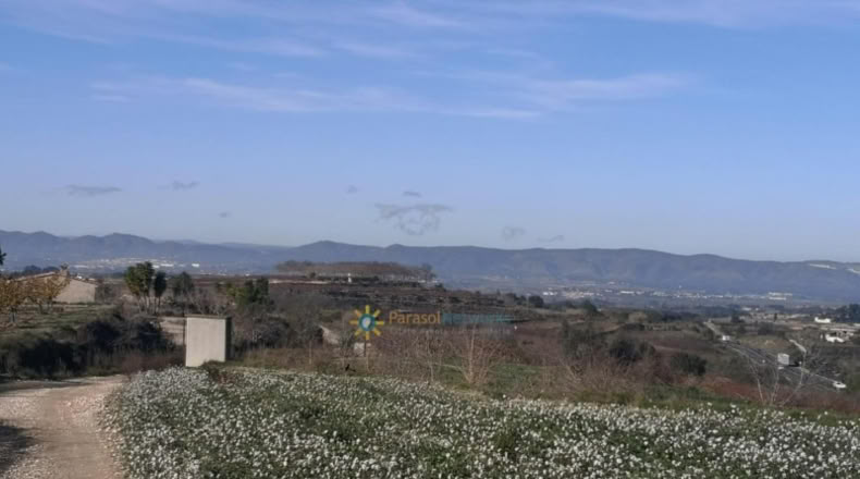Valencia - Castellón de Rugat - 6880m2