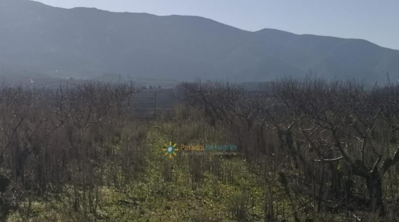 Valencia - Castellón de Rugat - 6880m2
