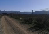 Non-developable land for sale on España, Castelló de Rugat, ref: TR346300 photo