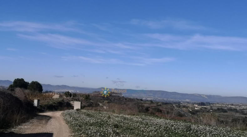 Valencia - Castellón de Rugat - 6880m2