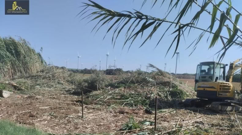 Cadiz - Jerez de la Frontera - 500m2