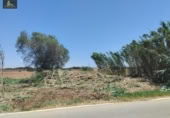 Parcel·la urbanitzable en venda a la España, Jerez de la Frontera, ref.: TR354172 foto