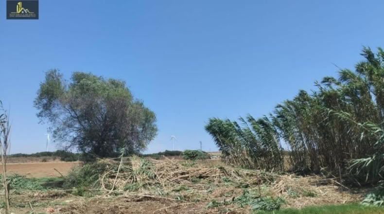 Cadiz - Jerez de la Frontera - 500m2