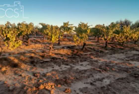 Almonte 10000&nbsp;m²