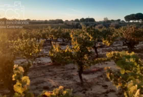 Almonte 10000&nbsp;m²