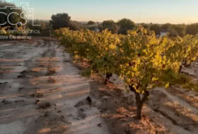 Almonte 10000&nbsp;m²