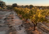 Terreno no urbanizable en venta en la España, Almonte, ref: TR354550 foto