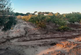Almonte 10000&nbsp;m²