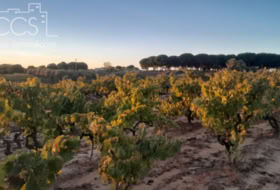Almonte 10000&nbsp;m²