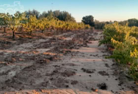 Almonte 10000&nbsp;m²
