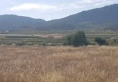 Terreny no urbanitzable en venda a la España, el Fondó de les Neus, ref.: TR172863 foto