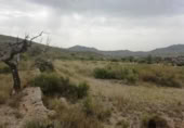 Parcel·la urbanitzable en venda a la España, el Fondó dels Frares, ref.: TR128673 foto