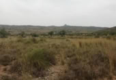 Parcel·la urbanitzable en venda a la España, el Fondó dels Frares, ref.: TR128673 foto