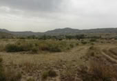 Parcel·la urbanitzable en venda a la España, el Fondó dels Frares, ref.: TR128673 foto