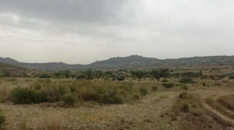 Alicante - Hondón de los Frailes - 7600m2