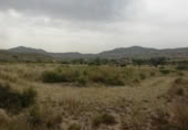Parcel·la urbanitzable en venda a la España, el Fondó dels Frares, ref.: TR128673 foto