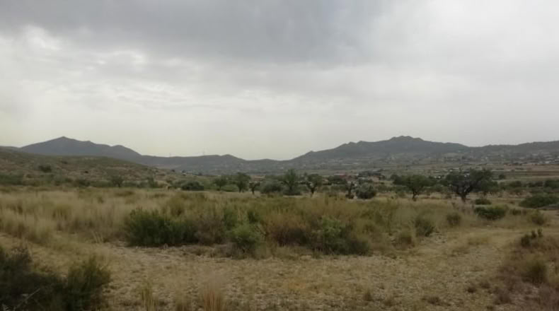 Alicante - Hondón de los Frailes - 7600m2