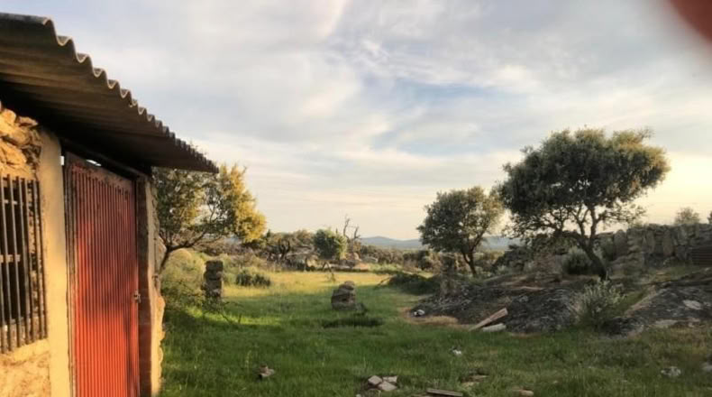 Cáceres - Aldea del Cano - 19400m2