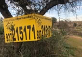 Country house with land for sale on España, Aldea del Cano, ref: TR293649 photo