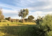 Country house with land for sale on España, Aldea del Cano, ref: TR293649 photo
