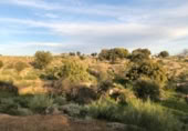 Country house with land for sale on España, Aldea del Cano, ref: TR293649 photo