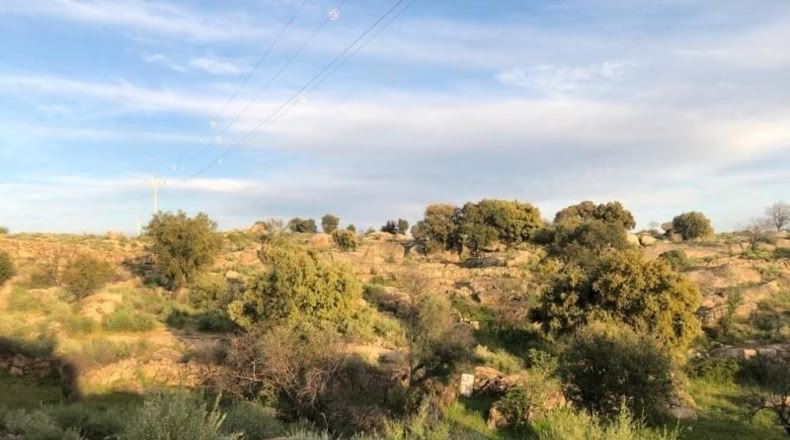 Cáceres - Aldea del Cano - 19400m2