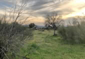 Country house with land for sale on España, Aldea del Cano, ref: TR293649 photo