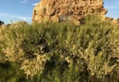 Country house with land for sale on España, Aldea del Cano, ref: TR293649 photo