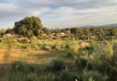 Country house with land for sale on España, Aldea del Cano, ref: TR293649 photo