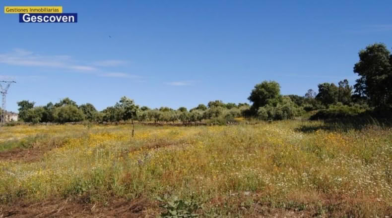 Cáceres - Valencia de Alcántara - 9300m2