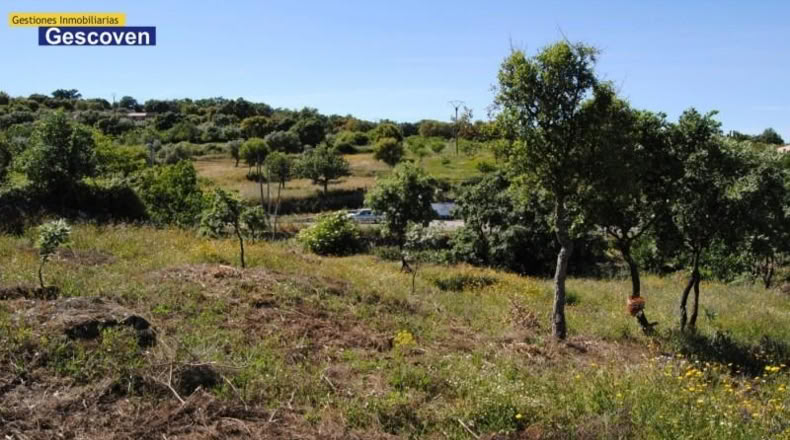 Cáceres - Valencia de Alcántara - 9300m2