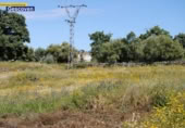 Отдельно стоящий дом с участком на продажу в городе Valencia de Alcántara Фото