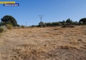 Отдельно стоящий дом с участком на продажу в городе Valencia de Alcántara Фото