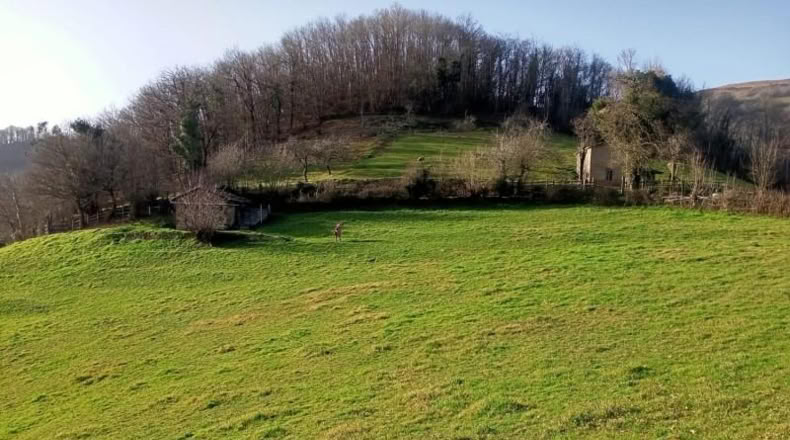Asturias - Mieres - 5043m2