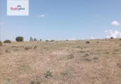 Casa amb terreny en venda a la España, Palazuelos de Eresma, ref.: TR282300 foto