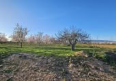Terreny no urbanitzable en venda a la España, Fuente Álamo, ref.: TR391915 foto