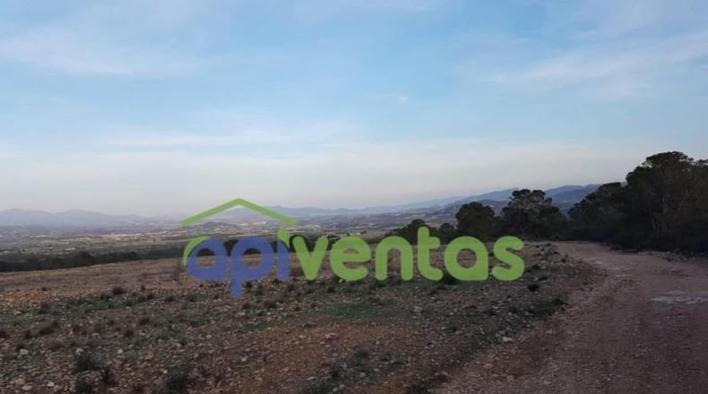 Murcia - Lorca - 23238m2