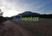 Chalet independiente con terreno en venta en la España, Lorca, ref: TR316667 foto