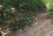 Parcel·la urbanitzable en venda a la España, Aledo, ref.: TR328599 foto