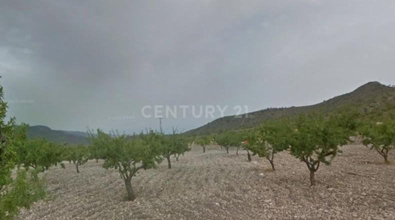 Murcia - Aledo - 99m2
